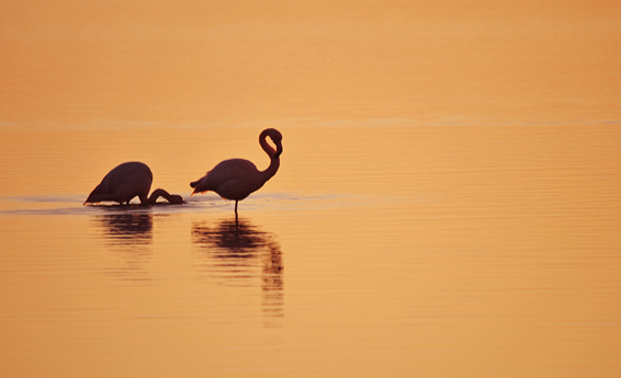 Doğa ve Agro fotoğrafı